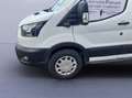 Ford Transit Kasten Trend 350L3H3 *EXPRESS-LINE-PAKET* Weiß - thumbnail 18