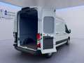 Ford Transit Kasten Trend 350L3H3 *EXPRESS-LINE-PAKET* Weiß - thumbnail 17