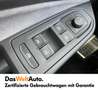 Volkswagen Golf R R-Line mHeV TSI DSG Weiß - thumbnail 15