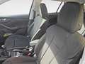 Skoda Kamiq 1.0 TSI AMBITION Blu/Azzurro - thumbnail 13