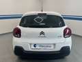 Citroen C3 BlueHDi 100 S&S Van Feel Bianco - thumbnail 6
