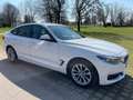 BMW 318 BMW GT full option perfetta 80000km tagliandi BMW Blanc - thumbnail 3