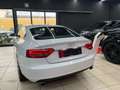 Audi A5 Sportback 2.7 V6 tdi Advanced multitronic Bianco - thumbnail 5