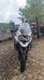 Triumph Tiger Explorer xcx Bianco - thumbnail 2