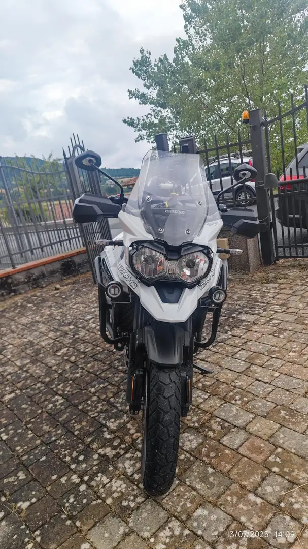 Triumph Tiger Explorer xcx Bianco - 2