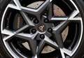 CUPRA Leon ST 2.0 TSI 4Drive VZ DSG - Pano/Memory/SENNHEISER Gris - thumbnail 15