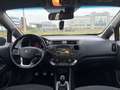Kia Rio Rio 1.4 CRDi Fusion Gris - thumbnail 11