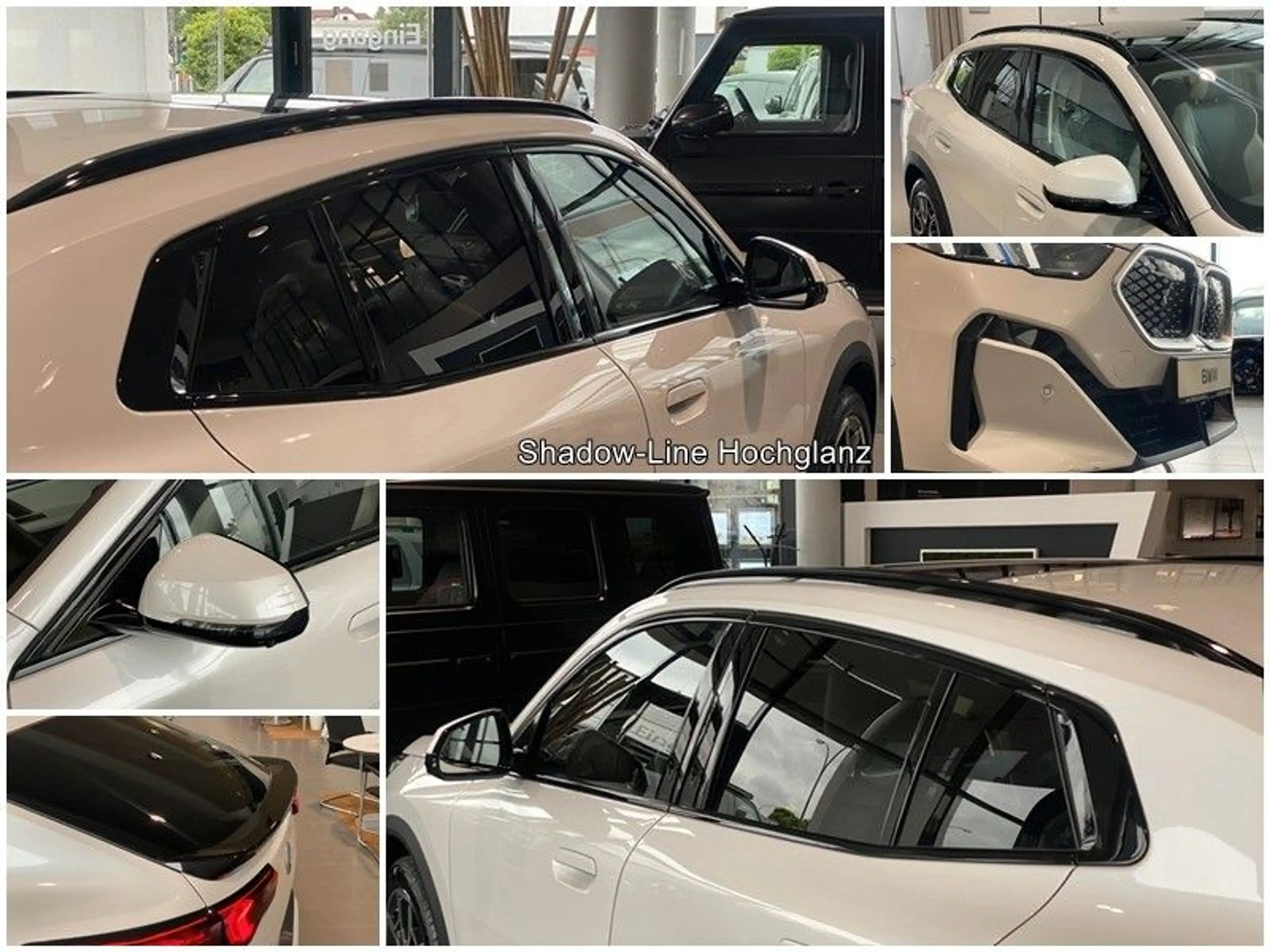 BMW iX2 xDrive30 InnovP Memory Pano H&K ACC AHK 360° — photo 7