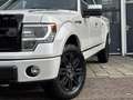 Ford F 150 6.2 V8 Platinum / Heavy Duty | LPG | Marge | Panor Weiß - thumbnail 2