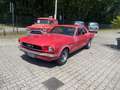 Ford Mustang coupe V8 289 ci 4700 cc Rood - thumbnail 12
