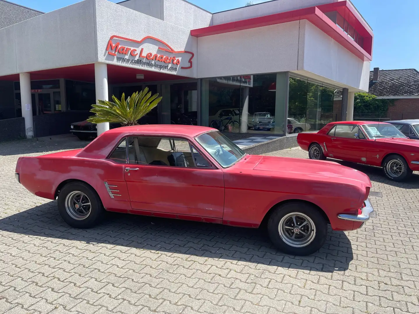 Ford Mustang coupe V8 289 ci 4700 cc Rot - 2