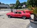 Ford Mustang coupe V8 289 ci 4700 cc Rouge - thumbnail 9
