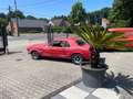 Ford Mustang coupe V8 289 ci 4700 cc Rood - thumbnail 7