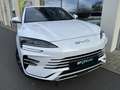 BYD Seal U 1.5 DMI BOOST PHEV Wit - thumbnail 28