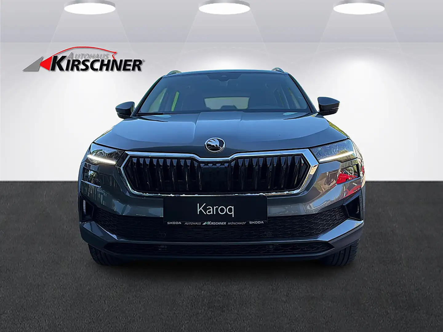 Skoda Karoq 1,0 TSI Selection Grau - 2