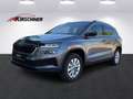 Skoda Karoq 1,0 TSI Selection Grau - thumbnail 1