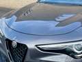Alfa Romeo Stelvio 2.9 T AWD Quadrifoglio Gris - thumbnail 9