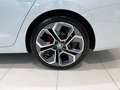 Skoda Octavia 2.0 TDI RS Plus 4x4 Bianco - thumbnail 15