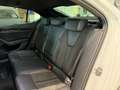 Skoda Octavia 2.0 TDI RS Plus 4x4 Bianco - thumbnail 11