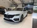 Skoda Octavia 2.0 TDI RS Plus 4x4 Bianco - thumbnail 2