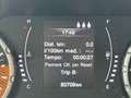 Jeep Renegade 1.0 T3 Sport Grigio - thumbnail 11