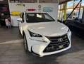 Lexus NX 300h 300h 2WD Business - thumbnail 1