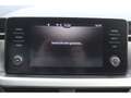 Skoda Scala Tour TSI EU6d AMB TS81 1.0 M6F LED Sperrdiff. Appl Grau - thumbnail 19