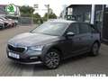 Skoda Scala Tour TSI EU6d AMB TS81 1.0 M6F LED Sperrdiff. Appl Grau - thumbnail 1