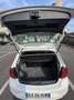 Volkswagen Polo 5p 1.4 tdi Trendline 75cv - thumbnail 8