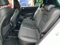 Kia Sportage 1.6 CRDI 136 CV DCT7 MHEV GT Line AUTOCARRO PROMO Bianco - thumbnail 7