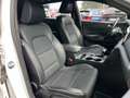 Kia Sportage 1.6 CRDI 136 CV DCT7 MHEV GT Line AUTOCARRO PROMO Bianco - thumbnail 6