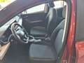 SEAT Arona Style Edition 1.0 TSI DSG Rojo - thumbnail 9