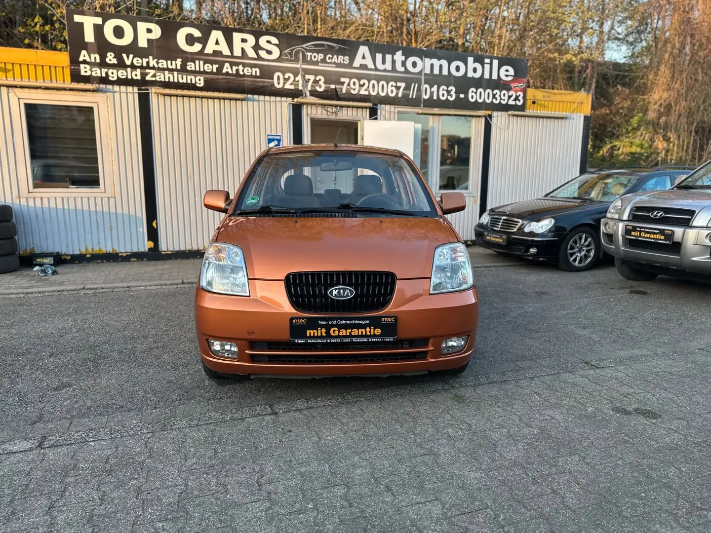 Kia Picanto 1.1 LX*Tüv Neu*Klima*Sparsam Cityflitzer Portocaliu - 1