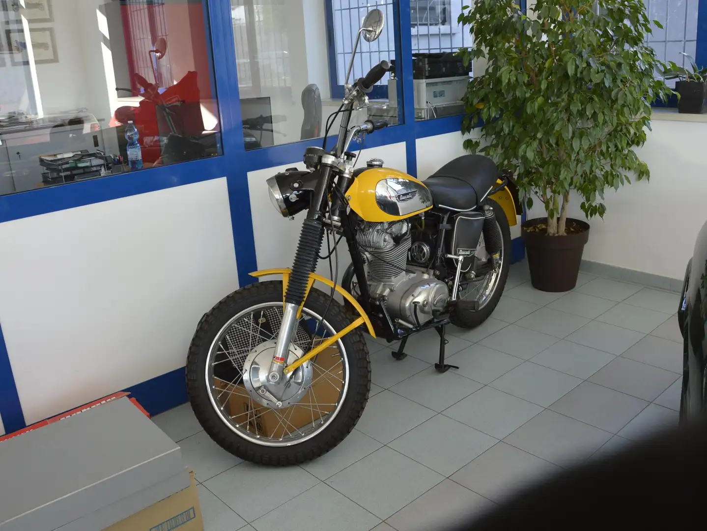 Ducati Scrambler DM 450 S "RESTAURATA" Giallo - 2