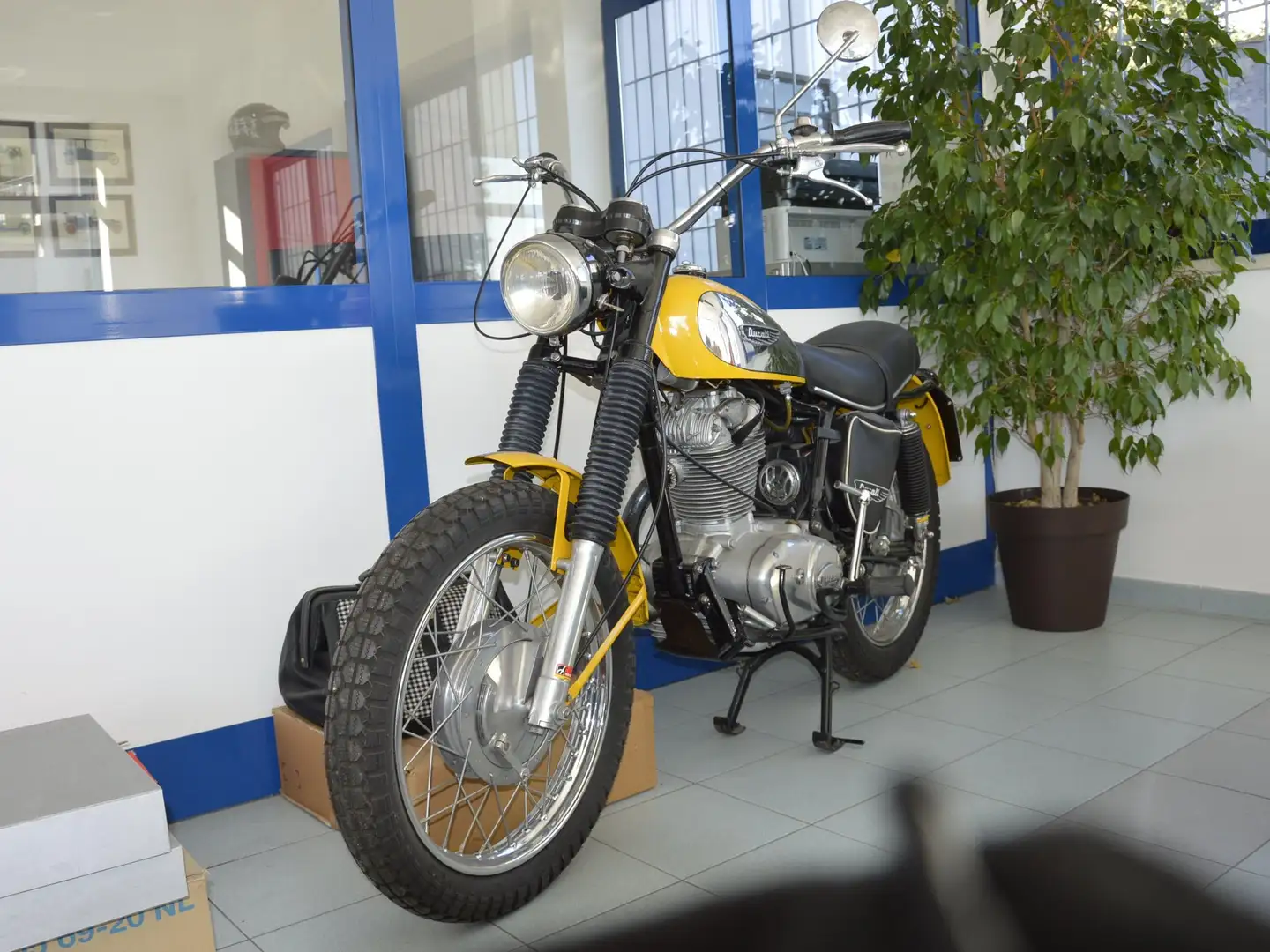 Ducati Scrambler DM 450 S "RESTAURATA" Giallo - 1