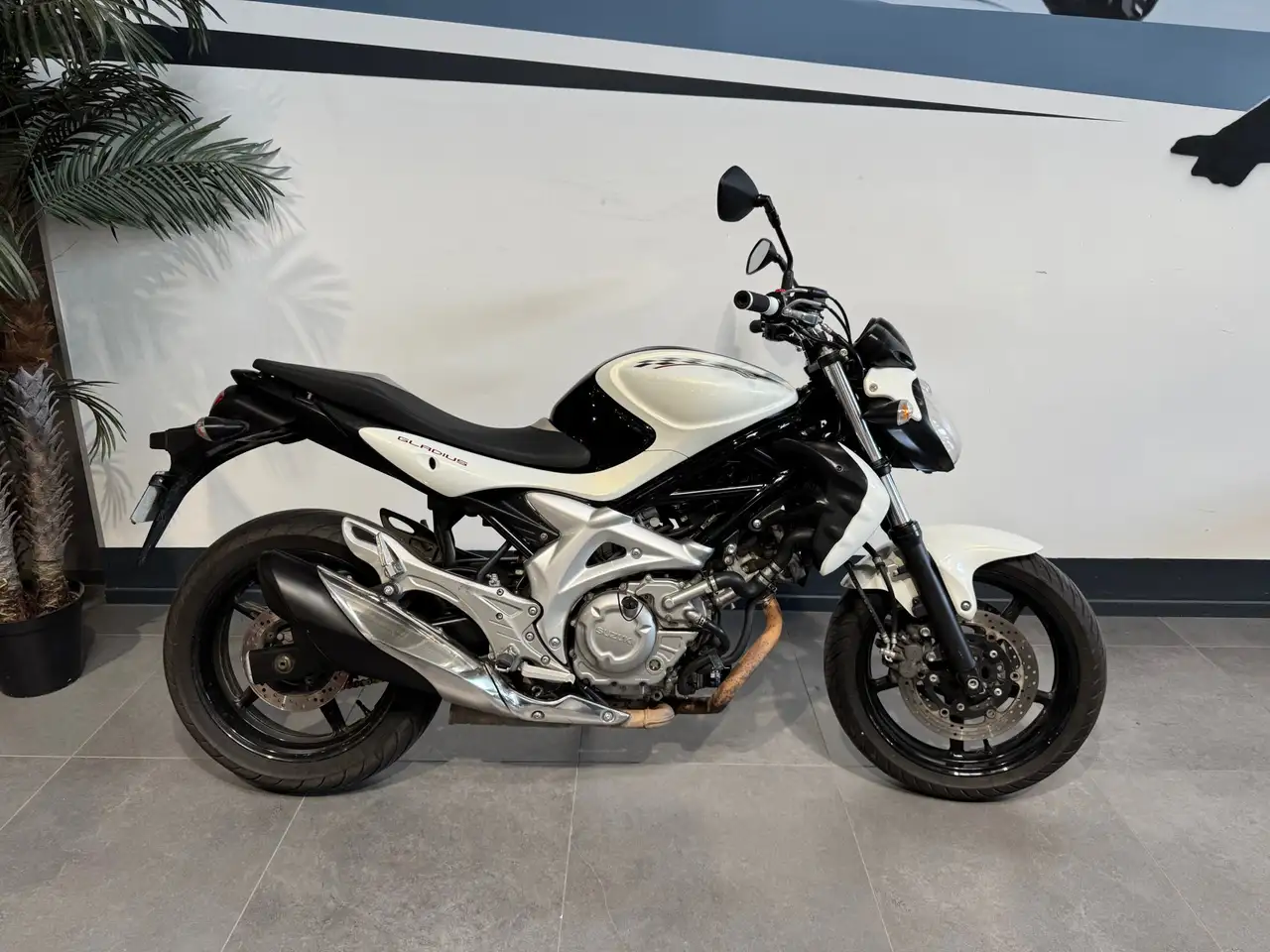 Suzuki Gladius 650