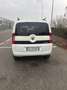 Fiat Qubo QUBO 1.3 MJT 95 CV Trekking EURO6 Blanc - thumbnail 5