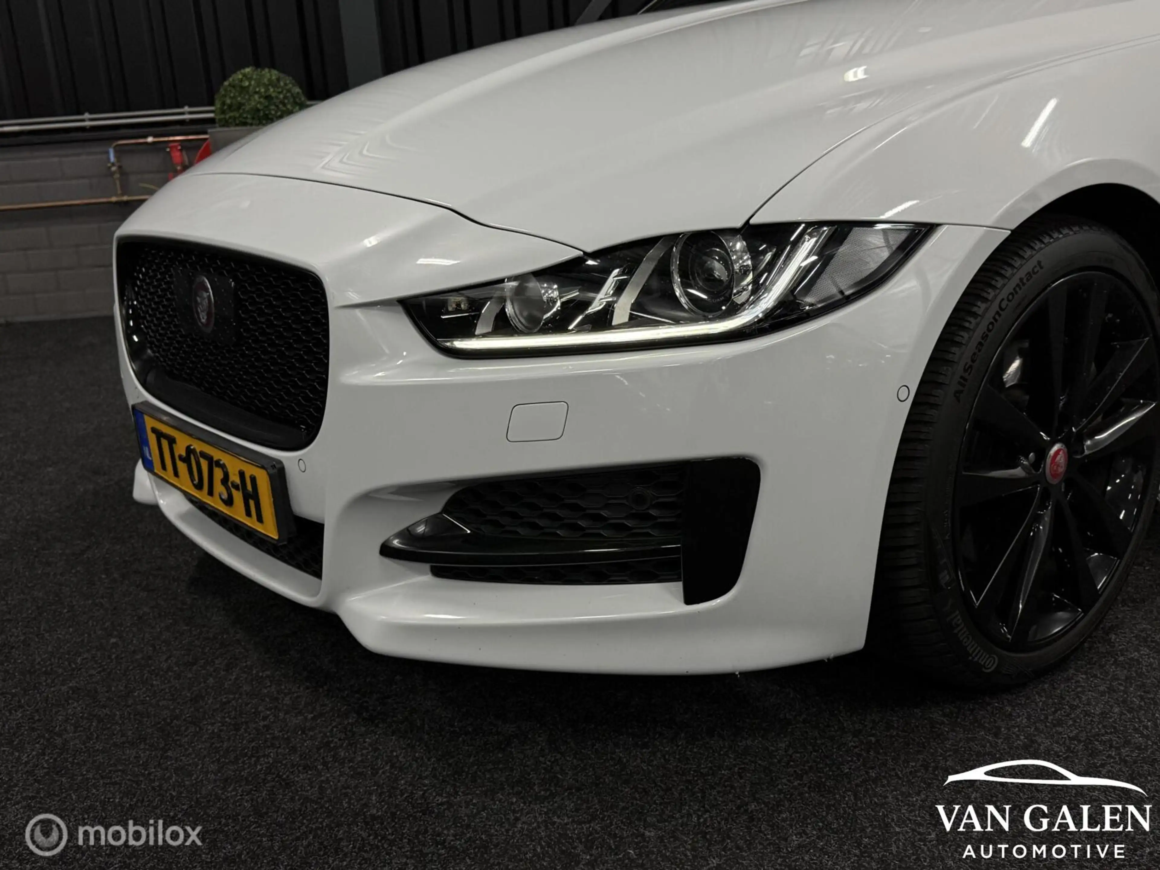 Jaguar XE P250 2.0T R-sport BOMVOL! Pano|Meridian|Carplay — photo 2