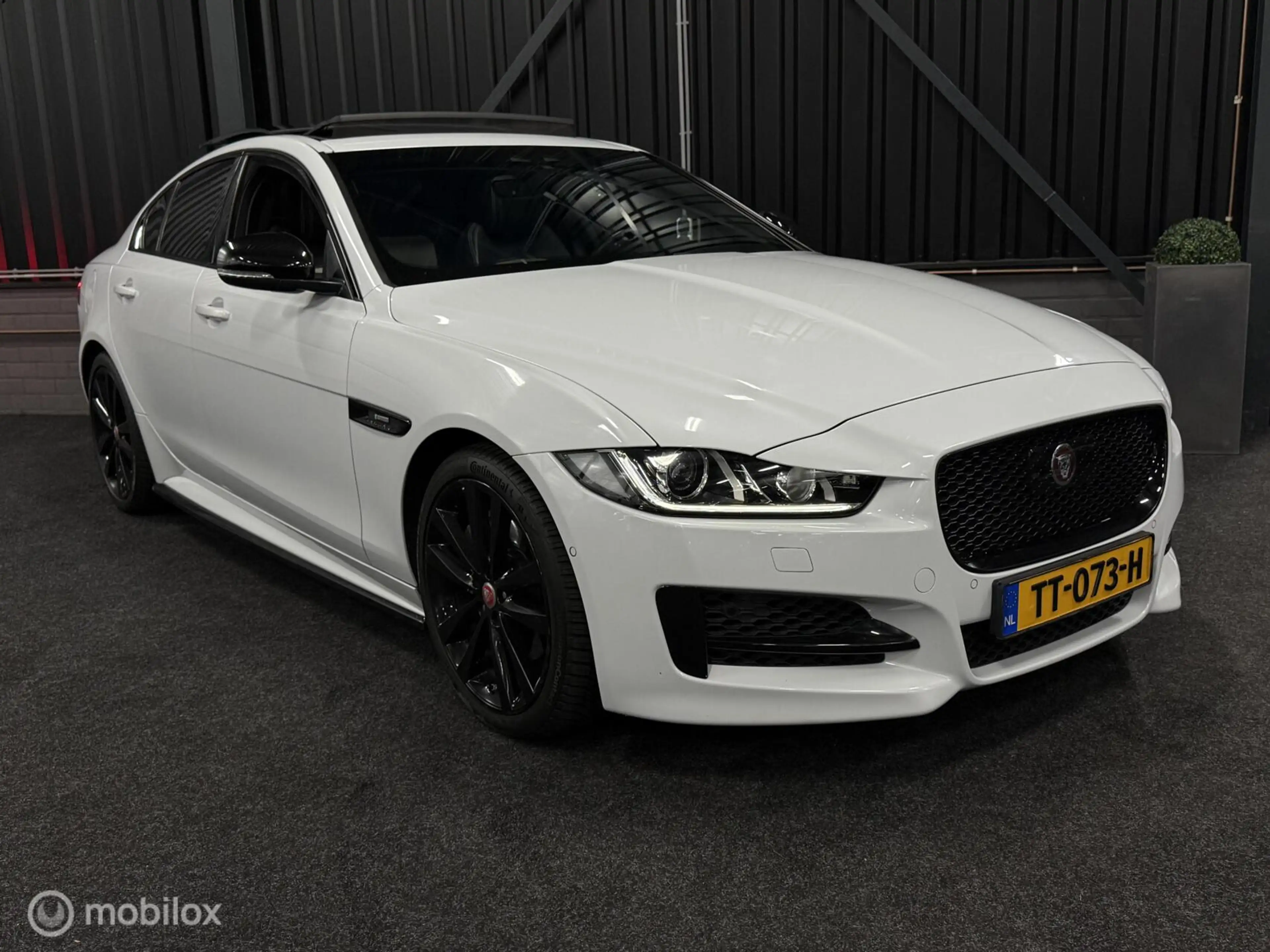 Jaguar XE P250 2.0T R-sport BOMVOL! Pano|Meridian|Carplay — photo 7