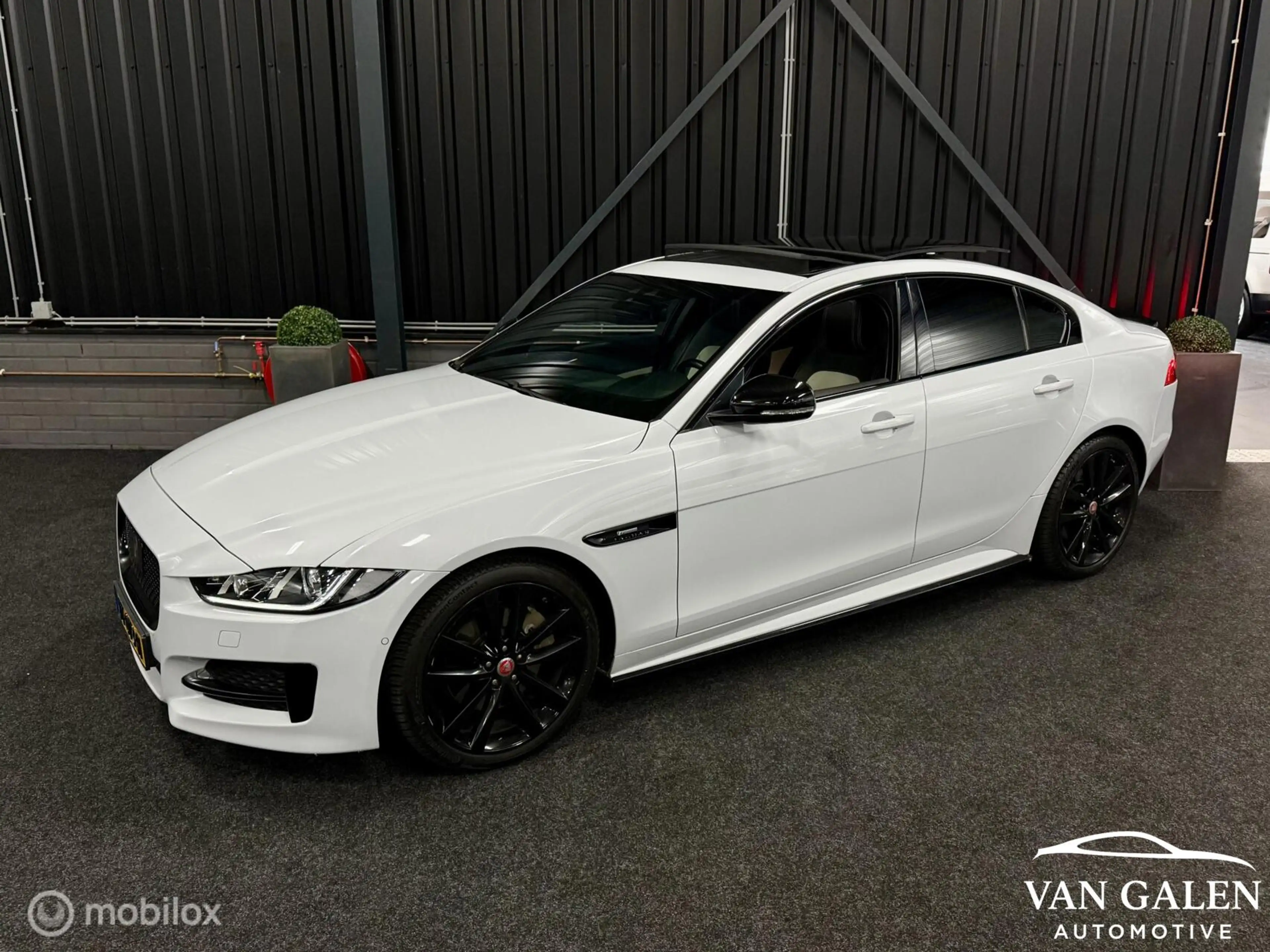 Jaguar XE P250 2.0T R-sport BOMVOL! Pano|Meridian|Carplay — photo 3