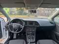 SEAT Leon Style Weiß - thumbnail 15
