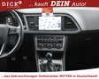 SEAT Leon 2.0d Xcellen NAVI+KAM+LED+SHZ+TEMP+DAB+PDC+ Gris - thumbnail 14