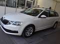 Skoda Octavia Octavia Wagon 1.6 tdi Executive 115cv dsg Bianco - thumbnail 3