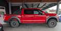 Ford F 150 F-150 RAPTOR 3.5 V6 ECOBOOST 450CV / PICKUP / F150 Rot - thumbnail 3