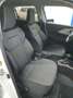 Suzuki Swift 1,2 CVT Comfort+ Hybrid*5 Jahre Garantie* Weiß - thumbnail 14