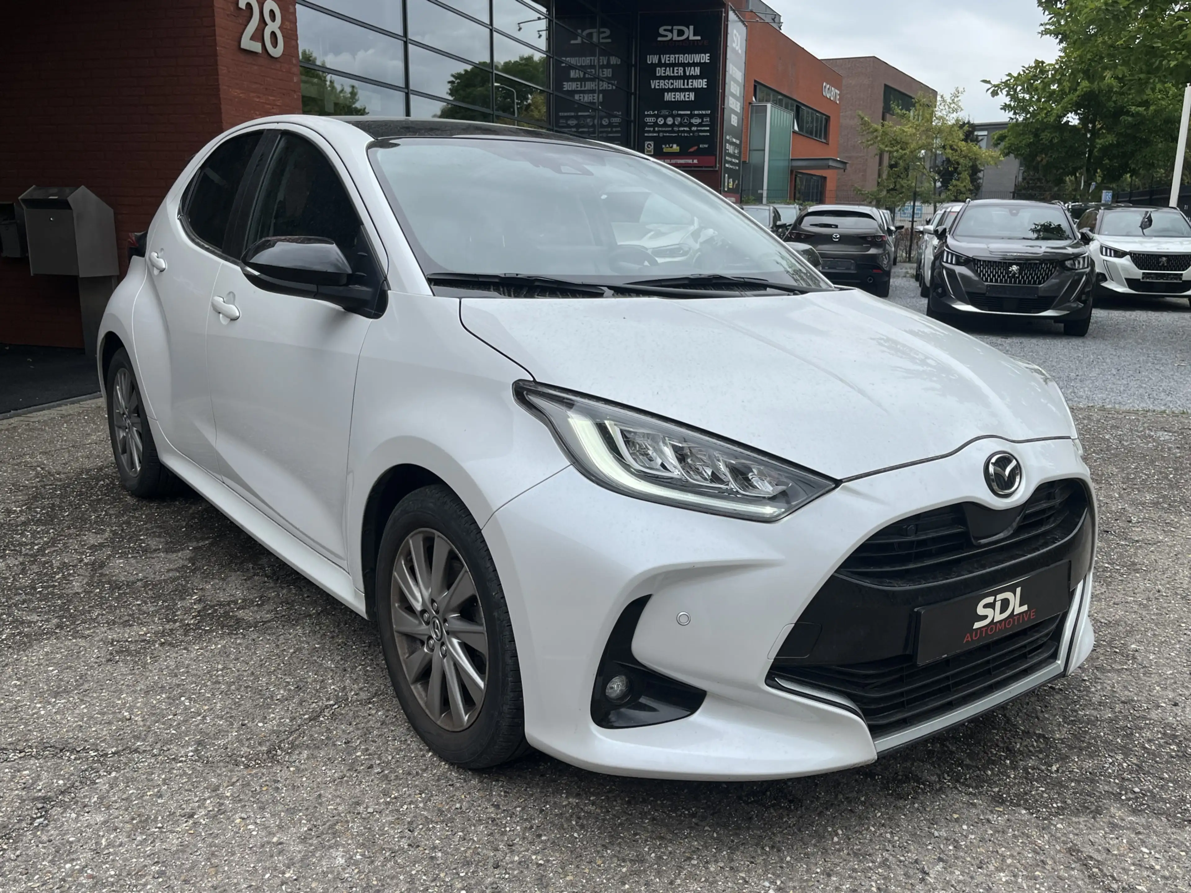 Mazda 2 Hybrid 1.5 Homura Plus // PANORAMADAK!! // ADAPTIV — photo 7