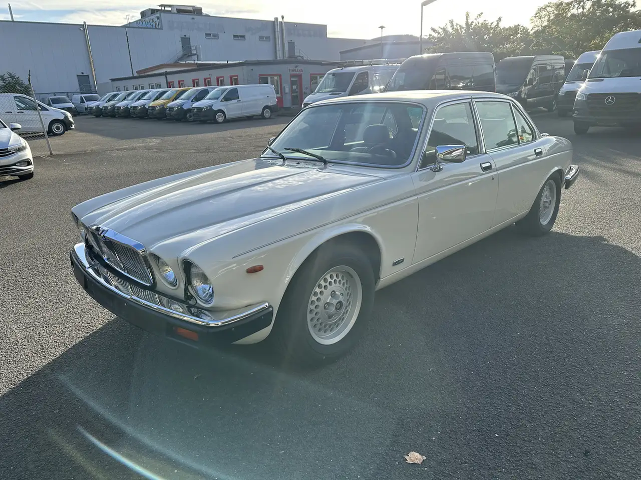 Jaguar XJ12 Daimler Double Six mit H Kennzeichen, foto 2