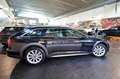 Audi A6 allroad 40 TDI Quattro S-Tronic Evolution -PELLE BEIGE/19" Gri - thumbnail 10