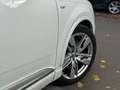 Audi SQ7 4.0 TDI4.0*PANO*7S-SITZER*BOSE*HUD*TV Alb - thumbnail 5