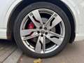 Audi SQ7 4.0 TDI4.0*PANO*7S-SITZER*BOSE*HUD*TV Alb - thumbnail 11